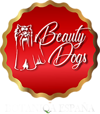 Beautydogs.es